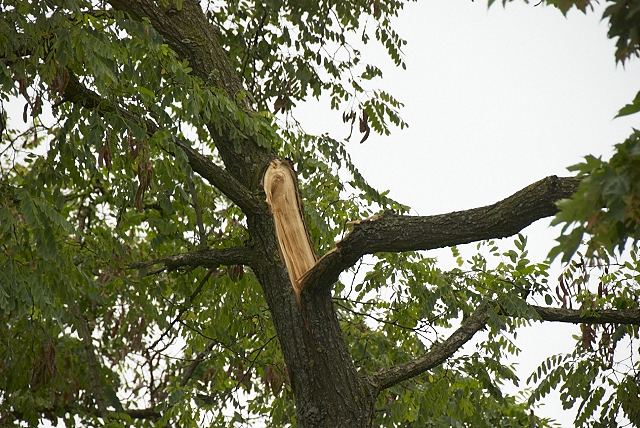 2011/177/GB 20110711 004 Stormschade Einsteinlaan.jpg